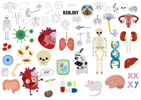 biological clipart|free printable biology images.